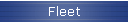Fleet
